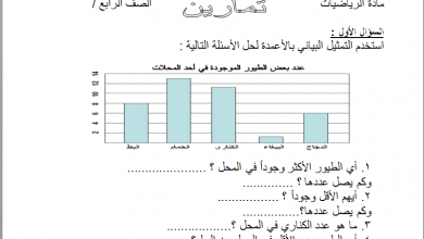 التمثيل البياتى فى الرياضيات