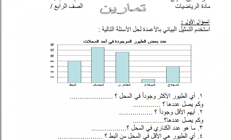 التمثيل البياتى فى الرياضيات