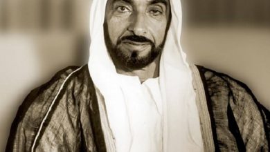 الشيخ زايد بن سلطان