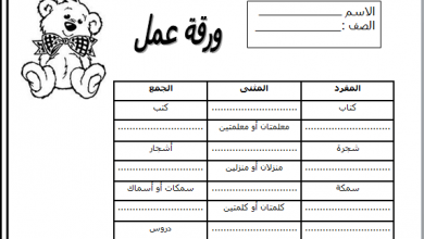 المفرد والمثنى والجمع