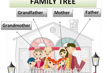 شجرة العائلة family tree