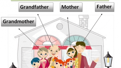 صورة ورقة عمل عن درس Family tree في اللغة الانجليزية للصف الثامن