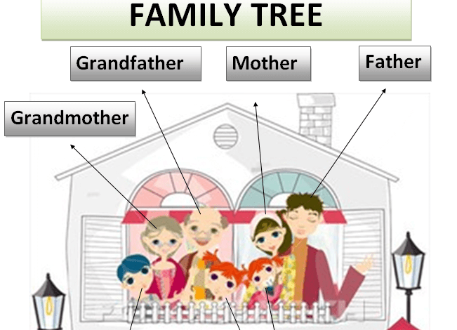شجرة العائلة family tree