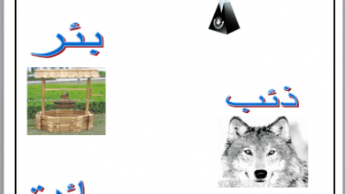 صورة ورقة عمل عن درس الهمزة المتوسطة علي الياء في اللغة العربية للصف الخامس